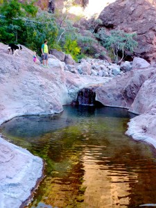 Hiking the Canyon